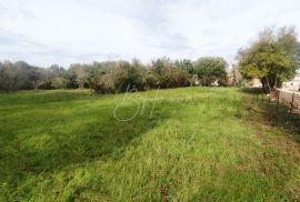 Prostrano građevinsko zemljište u okolici Barbana, Barban, Land