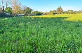 Građevinsko zemljište nadomak mora, Umag, Terreno