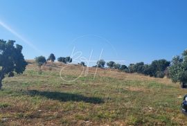 Građevinsko zemljište u Pomer, Medulin, Land