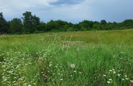 Veliko poljoprivredno zemljište, Poreč, Land