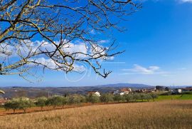 Građevinsko zemljište sa projektom i dozvolom, okolica Barbana, Barban, Terra