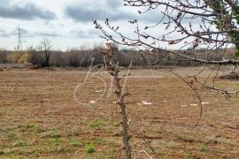 Parcela u Kužinićima, Marčana, Land