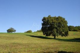 Veliko Zemljište u blizini Poreča, Poreč, Arazi