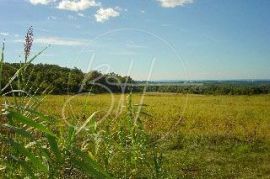 Veliko zemljište u Vižinadi, Vižinada, Tierra