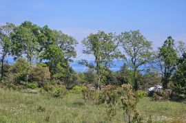 Poljoprivredno zemljište, Peruški, Marčana, Land