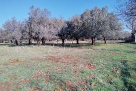 Poljoprivredno zemljište u blizini industrijske zone, Vodnjan, Arazi