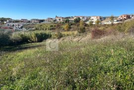 Vižinada građevinski  teren 605 m2, Vižinada, Terra