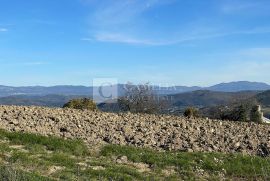 Vižinada građevinski teren 635m 2, Vižinada, Terra