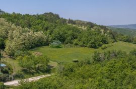 Građevinsko i poljoprivredno zemljište s pogledom na Motovun, Motovun, أرض