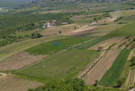 Građevinsko i poljoprivredno zemljište s pogledom na Motovun, Motovun, Terra