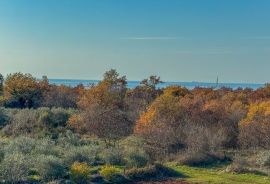 Prostran stan s pogledom na more, Poreč 4.5km, Poreč, Flat