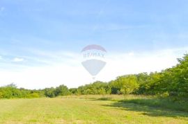 Istra,Bale -6km,Krmed,savršeno građevinsko zemljište, Bale, Land