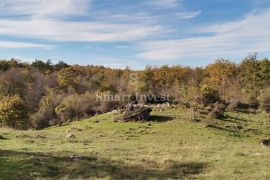 BREZA - KLANA, građevinsko zemljište od 11797 m2, Klana, Arazi