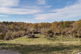 BREZA - KLANA, građevinsko zemljište od 11797 m2, Klana, Terrain