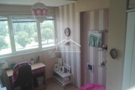 Novi Beograd - Blok 23 - 2.5 ID#23817, Novi Beograd, Appartement