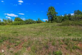 Građevinsko zemljište Prodaja građevinskog zemljišta s otvorenim panoramskim pogledom, Oprtalj!, Oprtalj, Земля