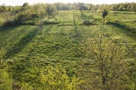 Građevinsko zemljište Odlična prilika! Prodaja zemljišta s projektom i građevinskom dozvolom, Žminj!, Žminj, Tierra