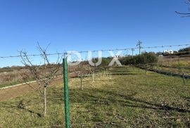 CRNO, ZADAR - Ograđeno zemljište s vrtnom kućom!, Zadar, Γη