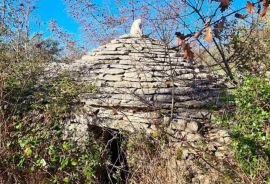 Poljoprivredno zemljište Prodaja maslinika od 3170 m2 s kažunom, Fažana!, Fažana, Tierra