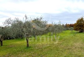 EKSKLUZIVNO GRAĐEVINSKO ZEMLJIŠTE NA MIRNOJ LOKACIJI, Marčana, Terreno