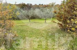 EKSKLUZIVNO GRAĐEVINSKO ZEMLJIŠTE NA MIRNOJ LOKACIJI, Marčana, Terreno