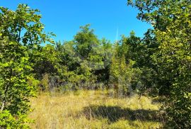 POLJOPRIVREDNO ZEMLJIŠTE BLIZU URBANIZIRANOG, Marčana, Terreno