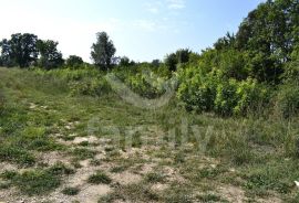 EKSKLUZIVNO POLJOPRIVREDNO ZEMLJIŠTE NA RUBU URBANIZACIJE, Vodnjan, Terreno