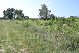 EKSKLUZIVNO POLJOPRIVREDNO ZEMLJIŠTE NA RUBU URBANIZACIJE, Vodnjan, Terreno