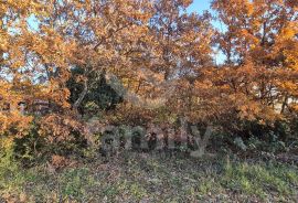 EKSKLUZIVNO GRAĐEVINSKO ZEMLJIŠTE NA MIRNOJ LOKACIJI, Vodnjan, Terreno