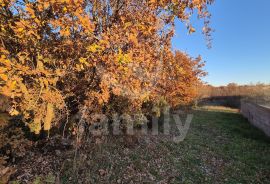 EKSKLUZIVNO GRAĐEVINSKO ZEMLJIŠTE NA MIRNOJ LOKACIJI, Vodnjan, Terreno