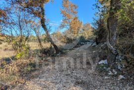 ODLIČNO POLJOPRIVREDNO ZEMLJIŠTE SA PRISTUPNIM PUTEM, Rovinj, Terreno