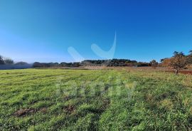 ATRAKTIVNA GRAĐEVINSKA PARCELA NA ODLIČNOJ LOKACIJI, Pula, Land