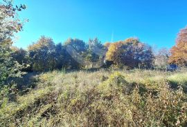 GRAĐEVINSKO ZEMLJIŠTE SA GRAĐEVINSKOM DOZVOLOM NA ODLIČNOJ LOKACIJI, Ližnjan, Terreno