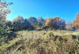 GRAĐEVINSKO ZEMLJIŠTE SA GRAĐEVINSKOM DOZVOLOM NA ODLIČNOJ LOKACIJI, Ližnjan, Terreno