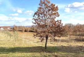 PROSTRANO ZEMLJIŠTE SA GRAĐEVINSKOM DOZVOLOM ZA SAMOSTOJEĆU KUĆU, Marčana, Terreno