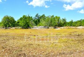 GRAĐEVINSKO ZEMLJIŠTE SA VELIKIM POTENCIJALOM, Svetvinčenat, Terreno