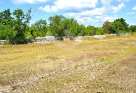 GRAĐEVINSKO ZEMLJIŠTE SA VELIKIM POTENCIJALOM, Svetvinčenat, Terreno