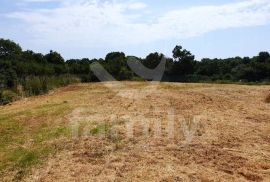 ATRAKTIVNO GRAĐEVINSKO ZEMLJIŠTE STAMBENE NAMJENE U ŠIŠANU, Ližnjan, Land