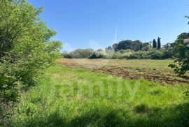 PROSTRANO GRAĐEVINSKO ZEMLJIŠTE ZA INVESTICIJU!, Vodnjan, Land