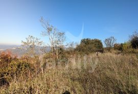 PRILIKA: PREKRASNO GRAĐEVINSKO ZEMLJIŠTE SA POGLEDOM NA JEDINSTVENI GRADIĆ NA BREŽULJKU - MOTOVUN, Pazin, Terrain