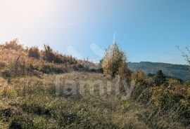 PRILIKA: PREKRASNO GRAĐEVINSKO ZEMLJIŠTE SA POGLEDOM NA JEDINSTVENI GRADIĆ NA BREŽULJKU - MOTOVUN, Pazin, Land