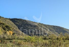 POLJOPRIVREDNO ZEMLJIŠTE SA ŠIROKIM PRISTUPNIM PUTEM, Sveta Nedelja, Terra