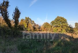 ODLIČNO GRAĐEVINSKO ZEMLJIŠTE NA MIRNOJ LOKACIJI, Barban, Terrain