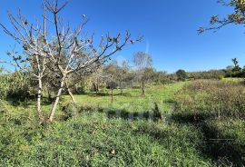 EKSKLUZIVNO JEDINSTVENO GRAĐEVINSKO ZEMLJIŠTE U FAŽANI, Fažana, Terrain