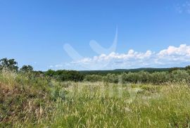 GRAĐEVINSKO ZEMLJIŠTE SA ZAPANJUJUĆIM  POGLEDOM NA BRIJUNSKO OTOČJE, Vodnjan, Земля