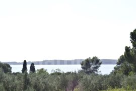 EKSKLUZIVNO GRAĐEVINSKO ZEMLJIŠTE SA POGLEDOM NA MORE I BRIJUNSKI ARHIPELAG, Fažana, Tierra