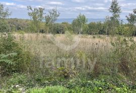 POLJOPRIVREDNO ZEMLJIŠTE U KRNICI, Marčana, Terreno