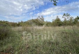 EKSKLUZIVNO PROSTRANO ZEMLJIŠTE NA MIRNOJ LOKACIJI, Marčana, Γη