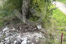 PROSTRANO GRAĐEVINSKO ZEMLJIŠTE NA MIRNOJ LOKACIJI, Marčana, Земля