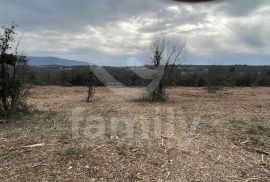 GRAĐEVINSKA PARCELA SA POGLEDOM NA MORE, Marčana, Terreno